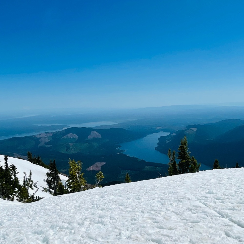 Meet your Posher, Siren